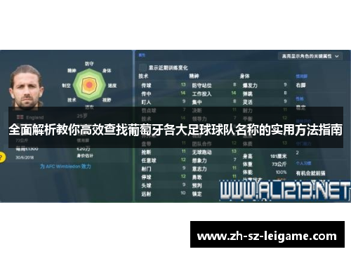 全面解析教你高效查找葡萄牙各大足球球队名称的实用方法指南 全面解析教你高效查找葡萄牙各大足球球队名称的实用方法指南