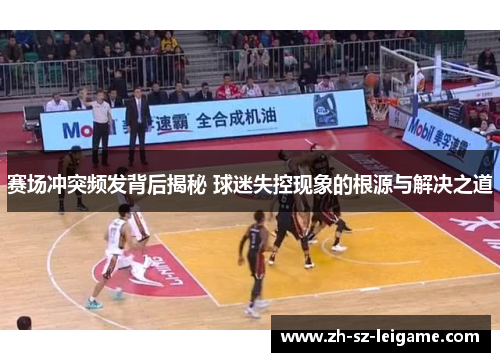 赛场冲突频发背后揭秘 球迷失控现象的根源与解决之道