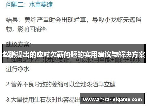 赵鹏提出的应对欠薪问题的实用建议与解决方案 赵鹏提出的应对欠薪问题的实用建议与解决方案